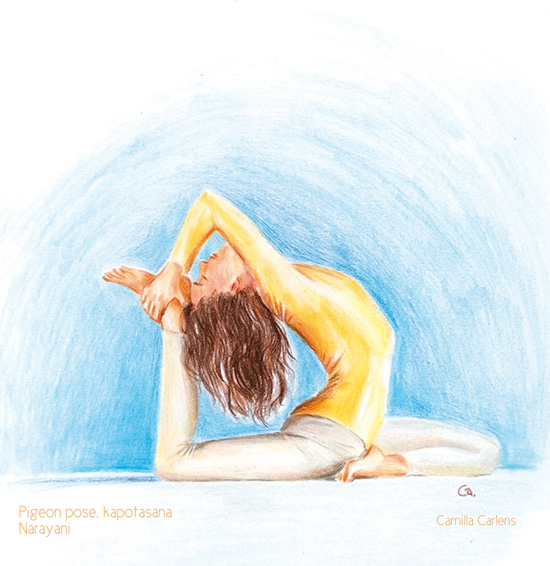 Zeichnung der vollständigen Taube Purna Kapotasana