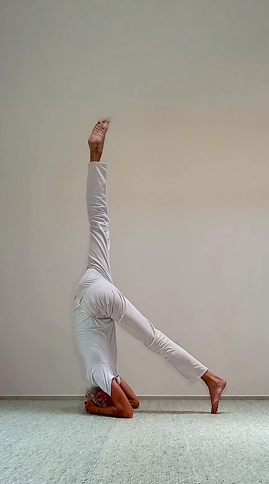 Kopfstand (Shirsasana) – Variation mit abgesenktem Bein