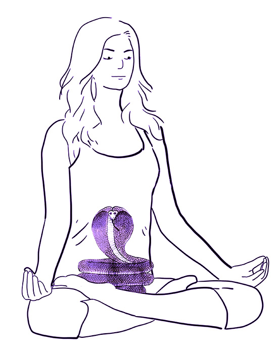 Zeichnung einer aufgerichteten Schlange als Symbol der Kundalini Shakti im Wurzelchakra